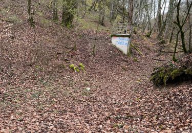 Tocht Stappen La Bussière-sur-Ouche - Pierre du druide , grotte de tebsima - Photo