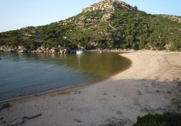 Excursión A pie Belvédère-Campomoro - Sentier Littoral - Photo