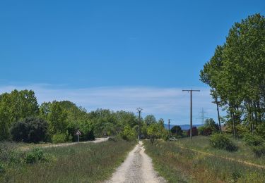 Tocht Stappen Villares de Órbigo - Santibañez Astorga Murias - Photo