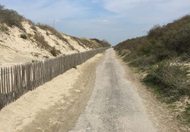 Randonnée Marche Cayeux-sur-Mer - Le hourdel  10/04/2019 baie de somme - Photo