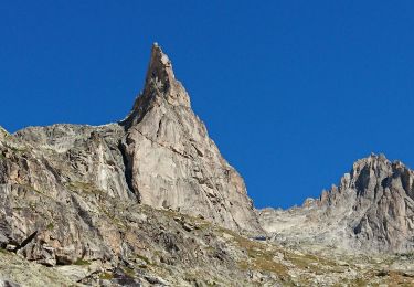 Excursión Senderismo Saint-Christophe-en-Oisans - refuge de soreiller - Photo