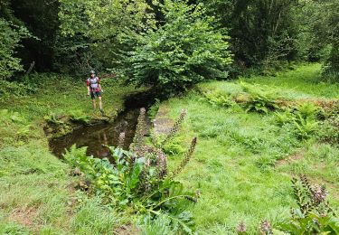 Trail Mountain bike Pont-l'Abbé - VTT 2023  Les étangs Ouest Pont L'abbé - Photo