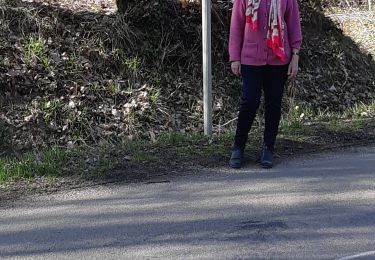 Excursión Senderismo Joigny - Joigny 210328 - Photo