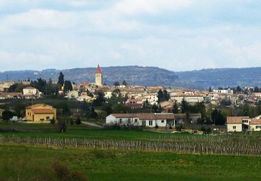 Trail Walking Villeneuve-de-Berg - 2024-02-01_17h01m07_Villeneuve Sauveplantade 18km - Photo