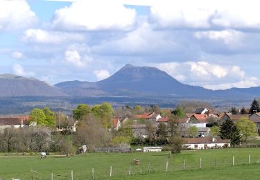 Trail Walking Bromont-Lamothe - Bromont_Puy_Moufle - Photo