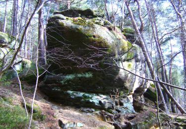 Percorso A piedi Mistelbach - Mistelbach Romantikweg - Photo