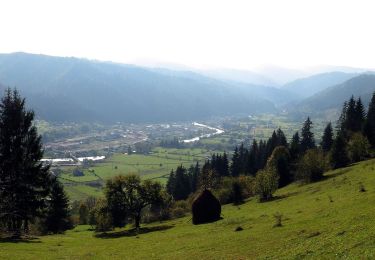 Tocht Te voet  - Lunca Bradului (DN15)-Șaua Negoiu - Photo