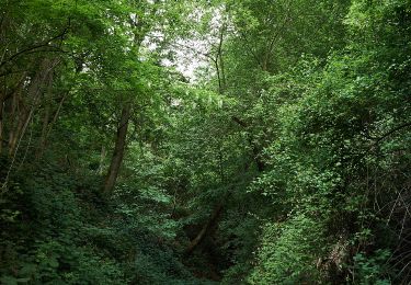 Percorso A piedi Backnang - Wanderweg Waldrems 2 - Photo