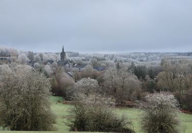 Tocht Stappen Libin - rando redu 31-12-2024 - Photo