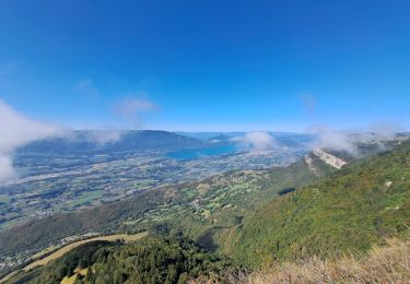 Trail Walking Les Déserts - la croix du Nivollet  - Photo