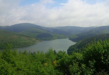 Excursión A pie Hilchenbach - (N) Netphener Rundweg - Photo