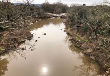 Tour Wandern Vidauban -  Vidauban - Photo