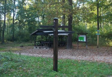 Tour Zu Fuß Bad Schmiedeberg - Wanderweg der Lieder - Photo