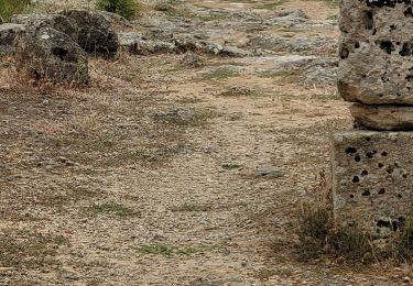 Trail Car Erice - Sicile_1 - Photo