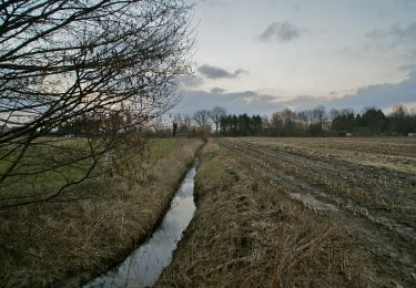 Excursión A pie Tangstedt - Burgen und Schleusen von Bargfeld-Stegen - Photo