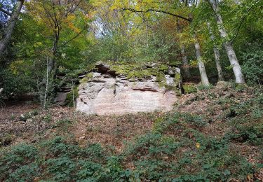 Percorso A piedi  - Ebersteinburg-Rundweg - Photo