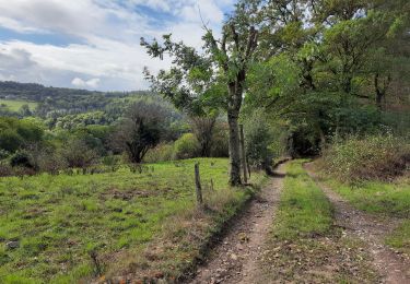 Tocht Stappen Neupré - Bonsgnée  - Photo