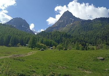 Excursión Senderismo Vallorcine - refuge de la pierre à Berard - Photo
