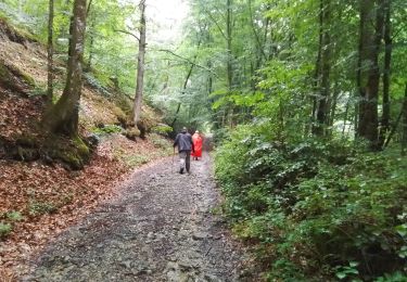 Tour Wandern Sainte-Menehould - la Granges aux Bois complément - Photo