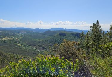 Excursión Senderismo Bagnols-en-Forêt - Gorges du Blavet - Photo