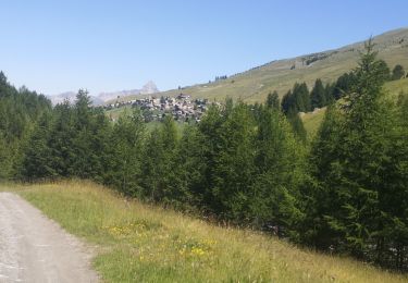 Tour Wandern Molines-en-Queyras - arrivée st veran - Photo
