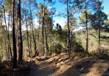 Tour Wandern Saint-Jean-du-Gard - rocher des chèvres - Photo