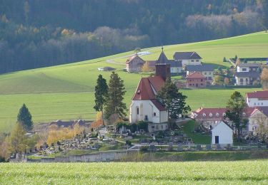 Randonnée A pied Gemeinde Krumbach - Krumbach - Lindenhof - Tripamer - Tiefenbach - Krumbach - Photo