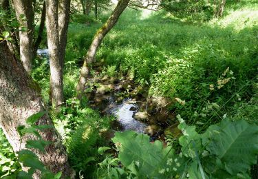 Trail On foot Marxzell - Marxzell - Ittersbach - Photo