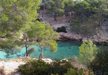 Trail Walking Cassis - cassis en vau - Photo