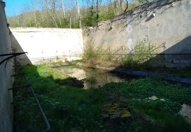 Randonnée Marche Jussy - AVF Coulanges 10 04 24 - Photo