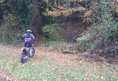 Tour Wandern Biches - biches  - Photo