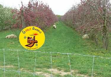 Trail Walking Versigny - SM_DROIZELLES_ 8Km - Photo