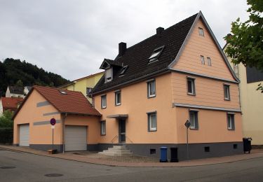 Randonnée A pied Rodalben - Rodalber Felsenwanderweg - Photo