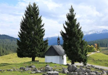 Excursión A pie Gemeinde Unken - Wanderweg 8 - Unken - Photo