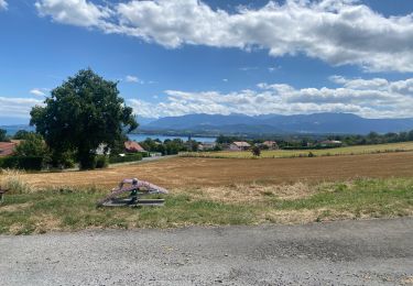 Trail Walking Excenevex - Exceneveux - Photo