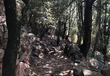 Tour Wandern Ota - Gorge de spelunca  - Photo