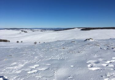 Trail Walking Laguiole - Laguiole - Photo