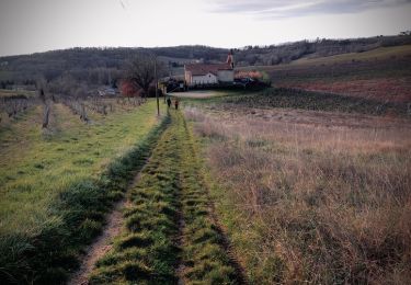 Trail Nordic walking Gaillac - Laborie Gaillac - Photo