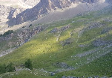 Tour Wandern Allos - Lac Allos- Col petite cayole - Pas du Lausson - Photo