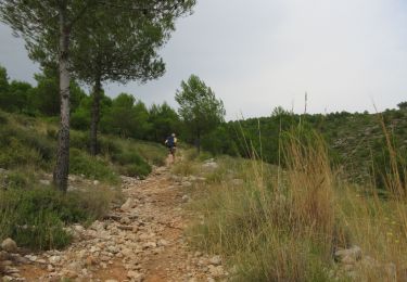 Randonnée Marche Ontinyent - Ontinyent-Bocairent-Ontinyent - Photo