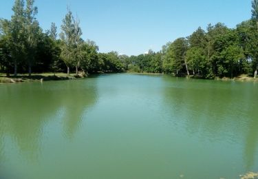 Tour Wandern Saint-Félix-Lauragais - c2pa-lenclas-15/05 - Photo