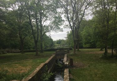 Excursión Senderismo La Chapelle-sur-Erdre - La Chapelle sur Erdre - 13,5 - Photo