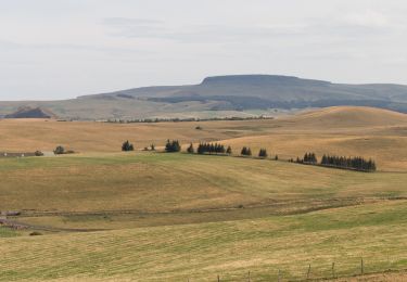 Tour Zu Fuß Saint-Alyre-ès-Montagne - Jassy - Photo