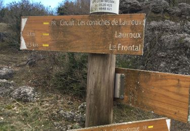 Excursión Senderismo Lauroux - Cirque de labeil  - Photo