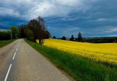 Randonnée Vélo de route Pont-Évêque - Pont-Évêque 47km - Photo