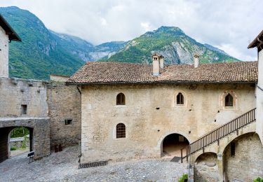 Trail On foot Stenico - Senter dell'aquila - Photo