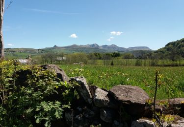 Trail Walking Chastreix - boucle chastreix - Photo