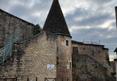 Randonnée Marche Beaune - Remparts de Beaune - Photo