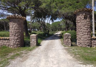 Tocht Stappen Roquebrune-sur-Argens - z st barthelemy 04-05-21 - Photo