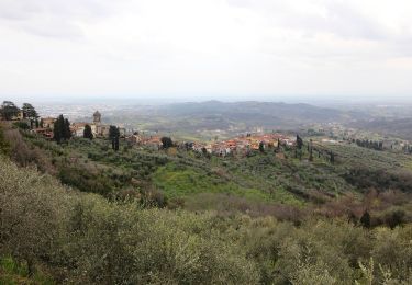 Percorso A piedi Capannori - Sentiero n.15 